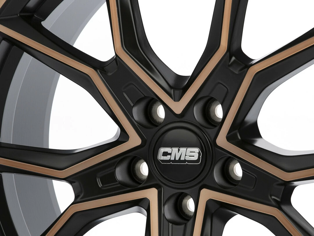 CMS C33